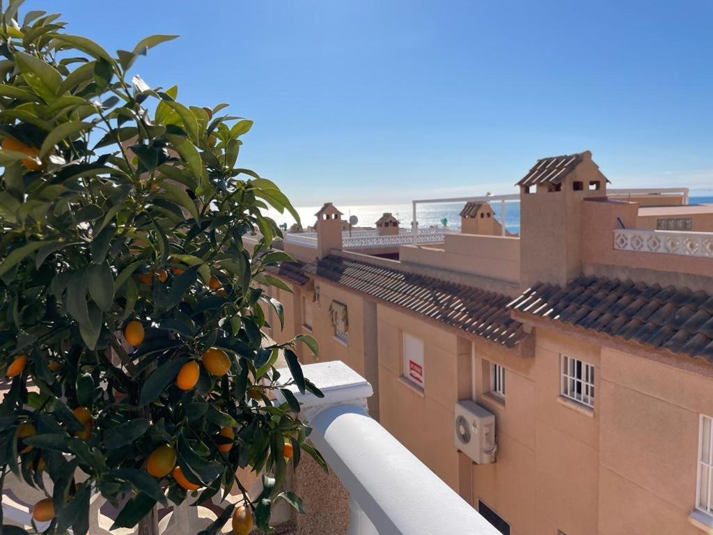 Apartament La Mata Torrevieja Eksteriør billede