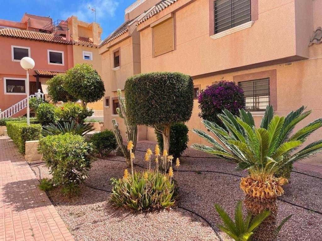 Apartament La Mata Torrevieja Eksteriør billede