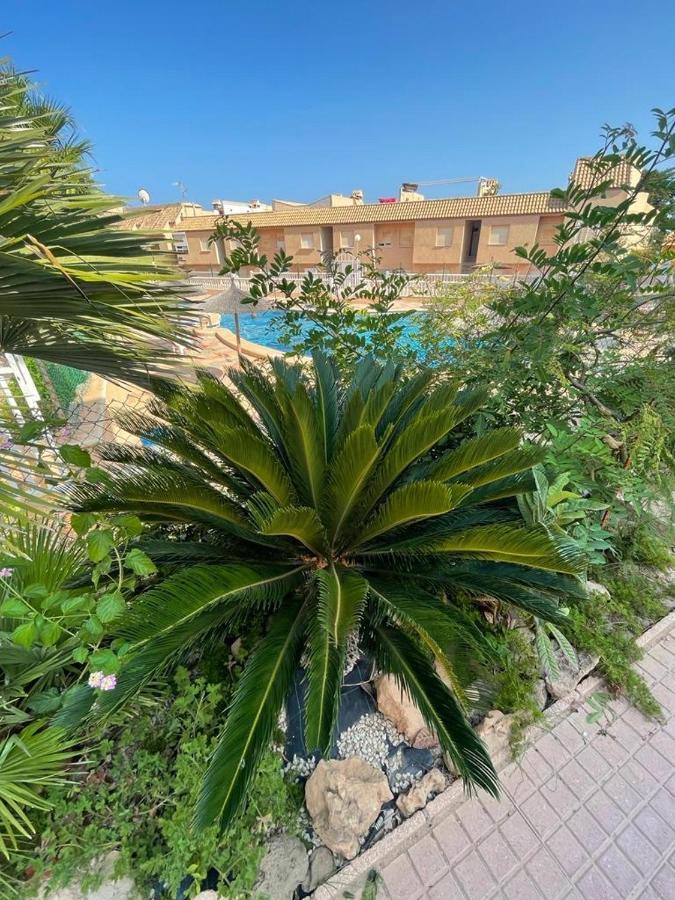 Apartament La Mata Torrevieja Eksteriør billede